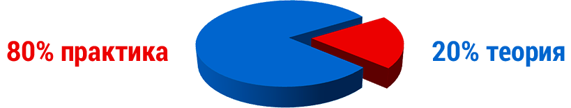 80-20