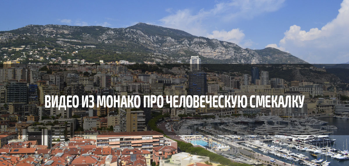 Видео из Монако про человеческую смекалку